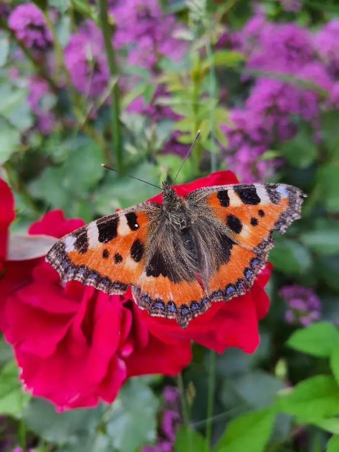 Saint-Genix-sur-Guiers La Parenthese Bed & Breakfast